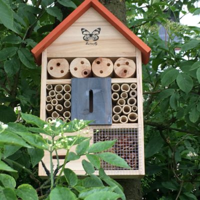 Insekten ein Zuhause geben – Gutes für die Natur