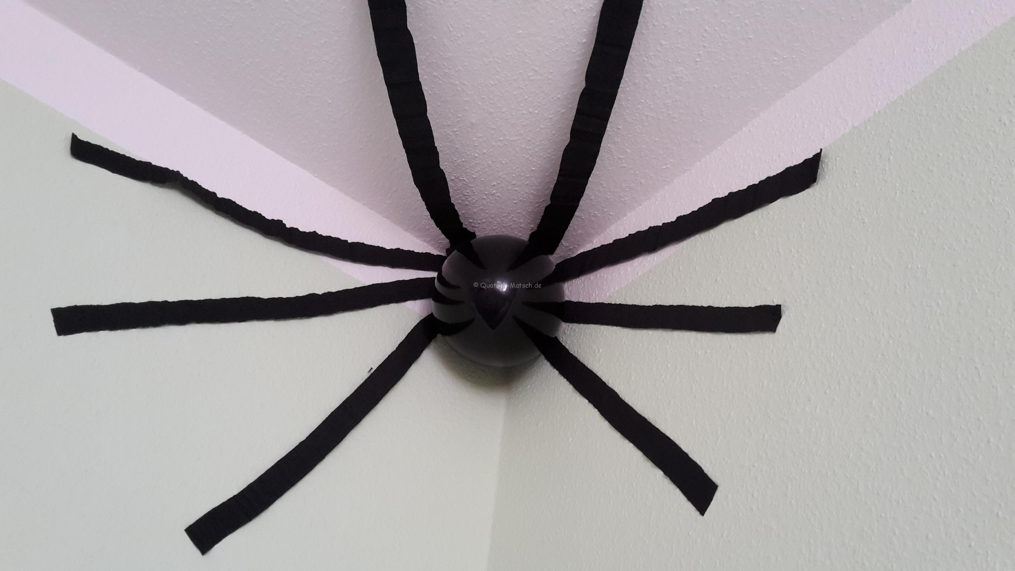 Spinnen an der Zimmerdecke